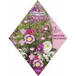 Tapis de fleurs