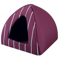 Igloo