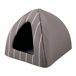 Igloo