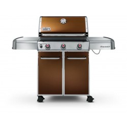 Genesis E-310 Mrn Glace-3...