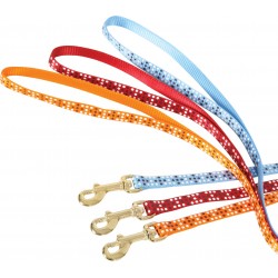Zolux laisse chat colorful...