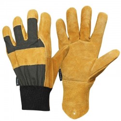 Gants chene pour travaux...