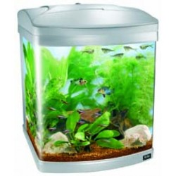 Bio3 tropical europe nn