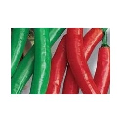 Piment cayenne impala c0.65l