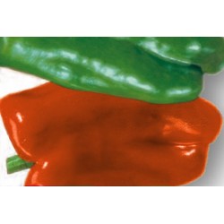 Poivron gourmet c0.65l