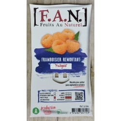 Framboisier fallgold rm-c1.6l