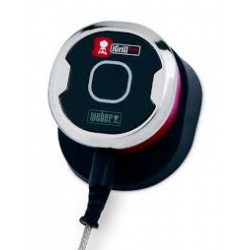 Weber igrill mini