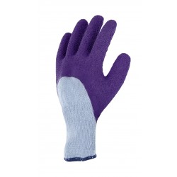 Gant rosier 6 violet