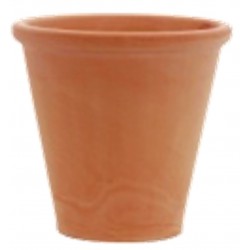 Vase missu clarous...