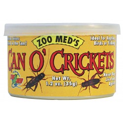 Nourriture 60 crickets 35g