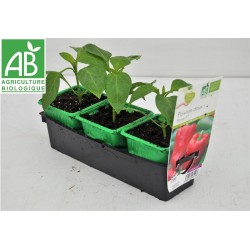 Poivron sonar ab-c0.5l