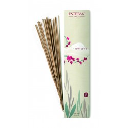 Encens indiens Esprit de...