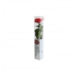ROSE premium Rouge Coffret...