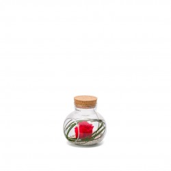VERRINE stab Lucca M Ø10-H10