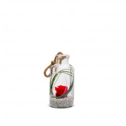 VERRINE stab Bottle XS Ø8-H17