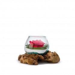 VERRINE stab Amazonia 25X25X25