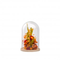 CLOCHE fleurs Sechees...