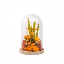 CLOCHE fleurs Sechees...