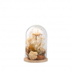 CLOCHE fleurs Sechees...