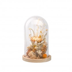 CLOCHE fleurs Sechees...