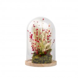 CLOCHE fleurs Sechees Rouge...