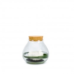 VERRINE stab Bulle Light...