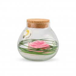 VERRINE stab Bulle Light...