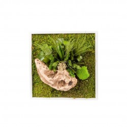 TABLEAU stabilise Nature...