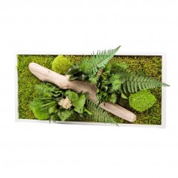 TABLEAU stabilise Nature...