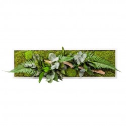TABLEAU stabilise Nature...