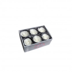 TETE rose Extra Blanc X6 Ø6