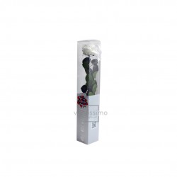 ROSE premium Blanche...