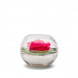 VERRINE stab Venezia 13 Ø13