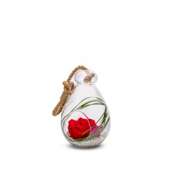 VERRINE stab Globe Ø12-H18