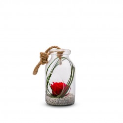 VERRINE stab Bottle S Ø10-H18