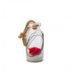VERRINE stab Bottle L Ø12-H25