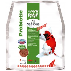 KOI JUNIOR ALL SEASONS...