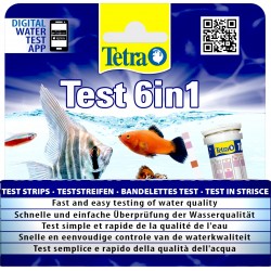 Test bande 6 en 1