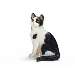Chat assis