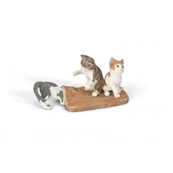Chatons