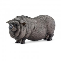 Cochon du vietnam