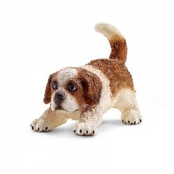 Chiot saint-bernard