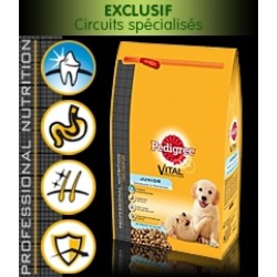 Croquettes pour chien -...