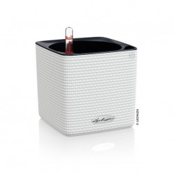 Cube color 14 kit complet...