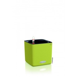 Cube color 14 kit complet vert