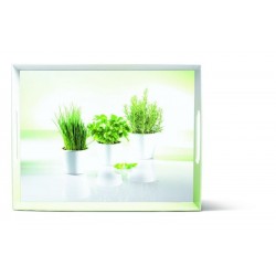 Plateau 40 x 31 cm herbes