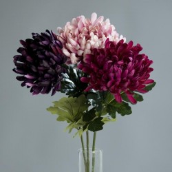 Chrysantheme 70m-rge-lav
