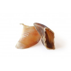 UVND Sac de 100 sabots de veau