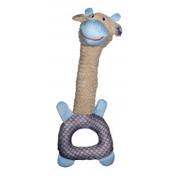 Friend Oxford Anneau