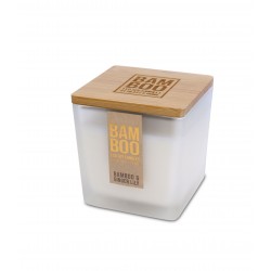 Bambou gingembre-lys gm